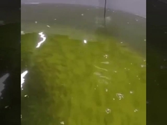 سنسور اکسیژن محلول نوری آنلاین سنسور اکسیژن اپتیکال Rs485